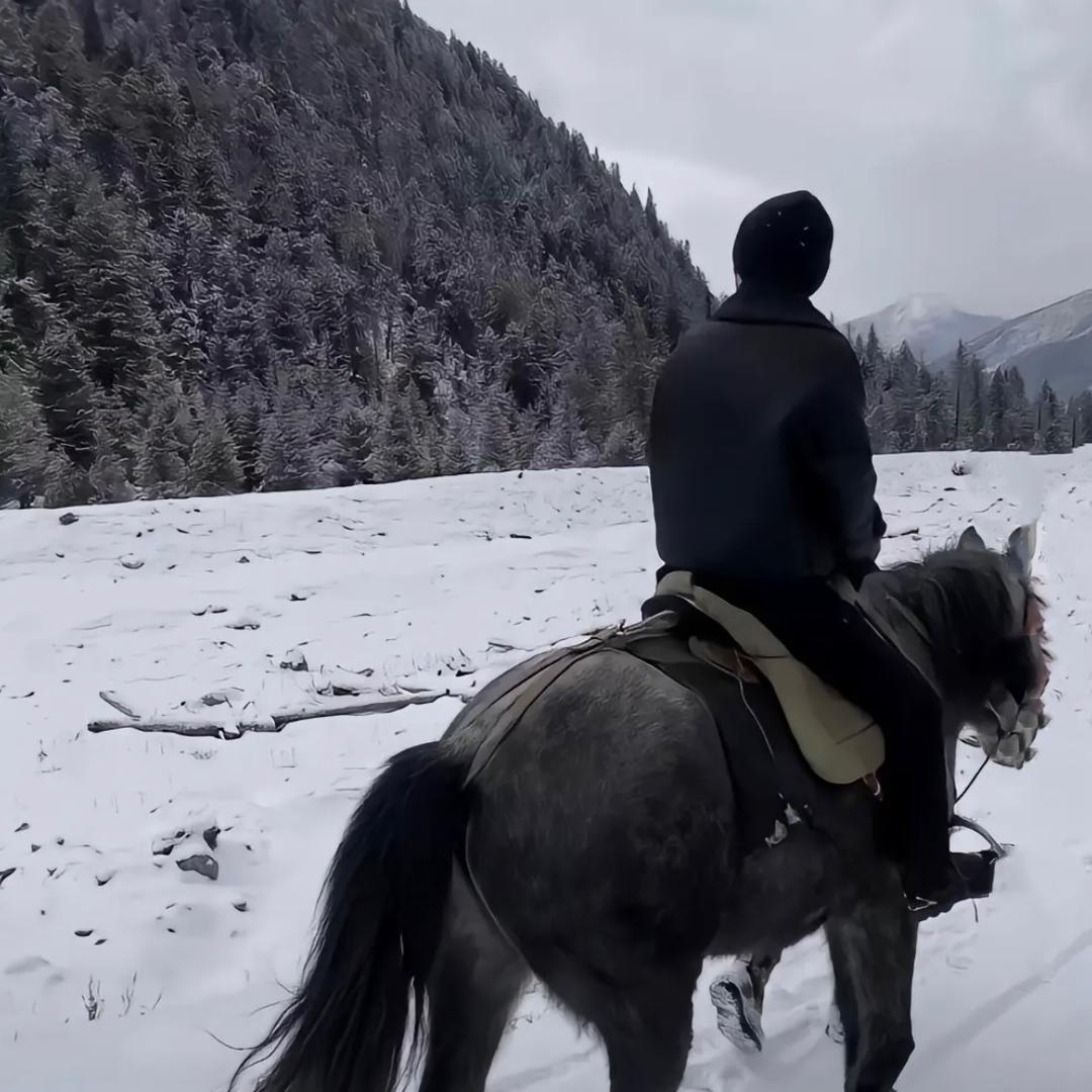 昆仑山的雪.