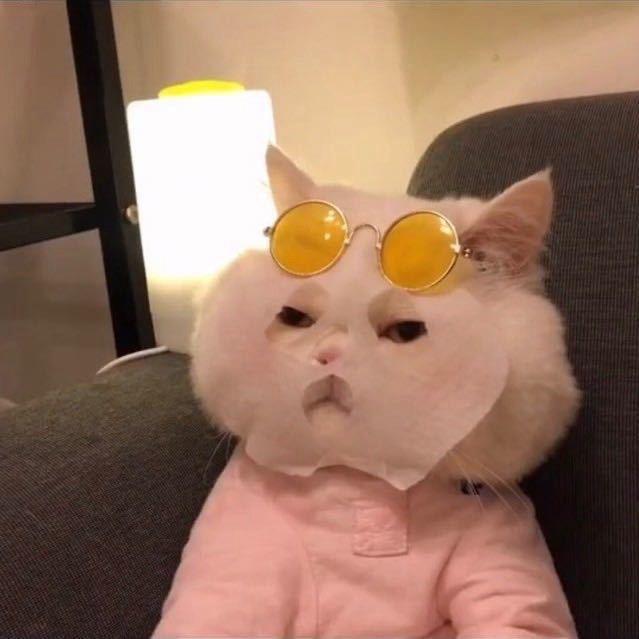 月亮是我啃弯的🌈