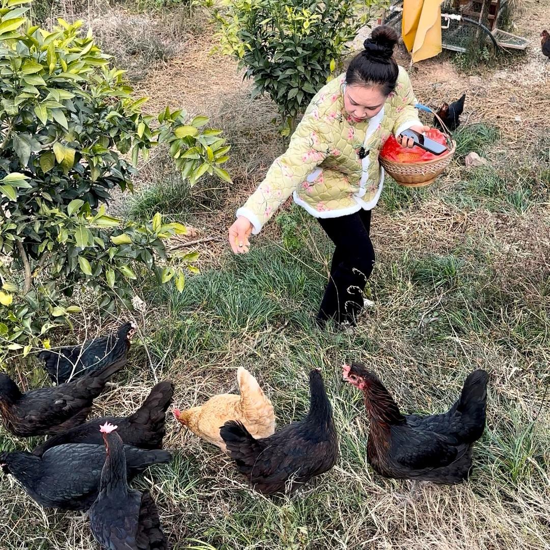 奔奔山农场