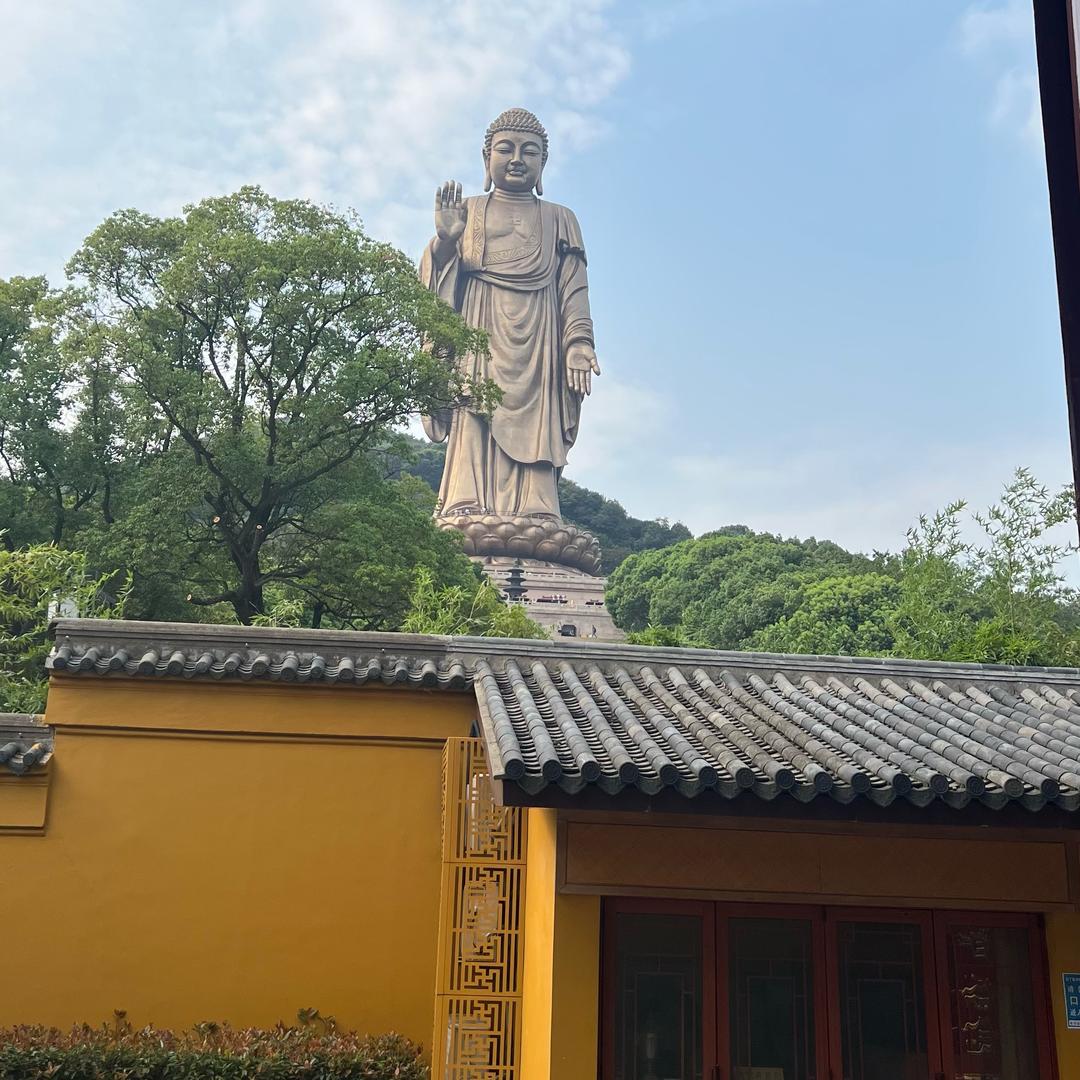 一花一世