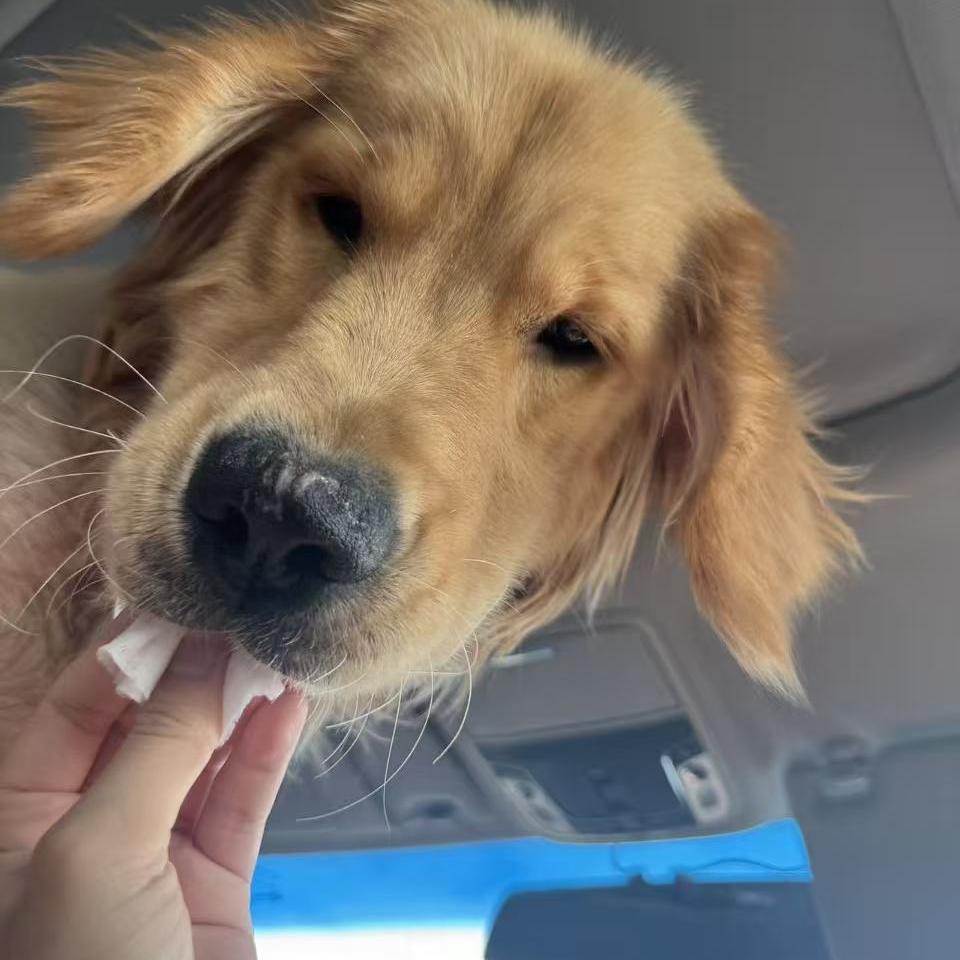 北京科逻数字科技有限公司