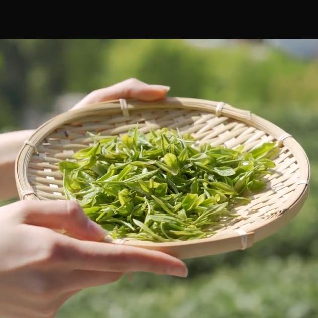 嘉禾茗香