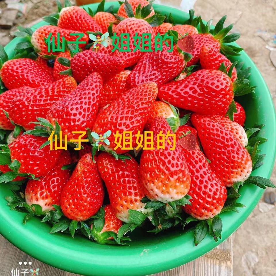 不是少年