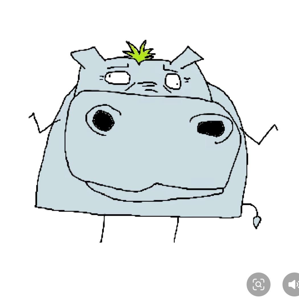 小河马🦛