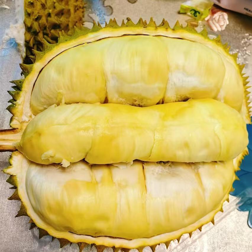 小锅锅
