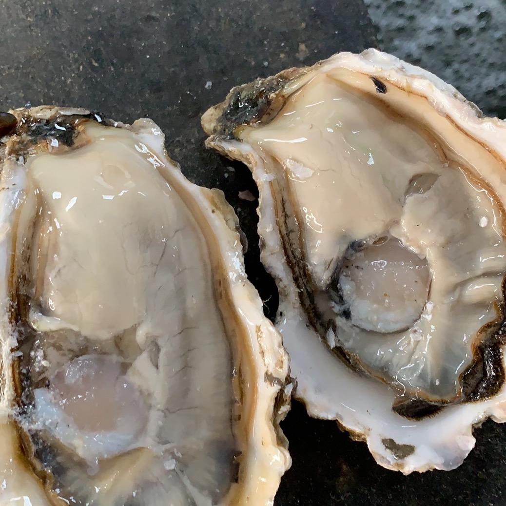 连云港(新超记)生蚝:江浙沪专线