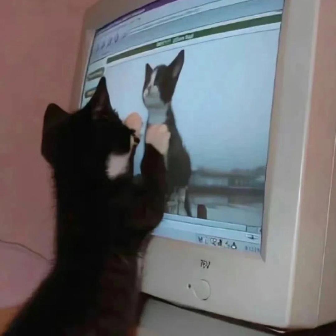 买椟还珠格格巫