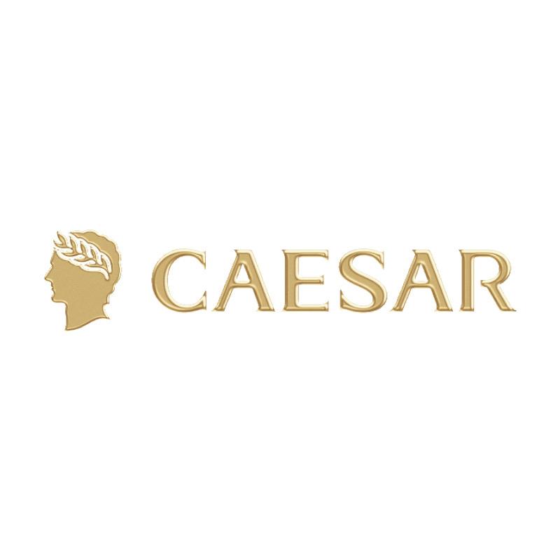 凯撒大帝CAESAR男装旗舰店