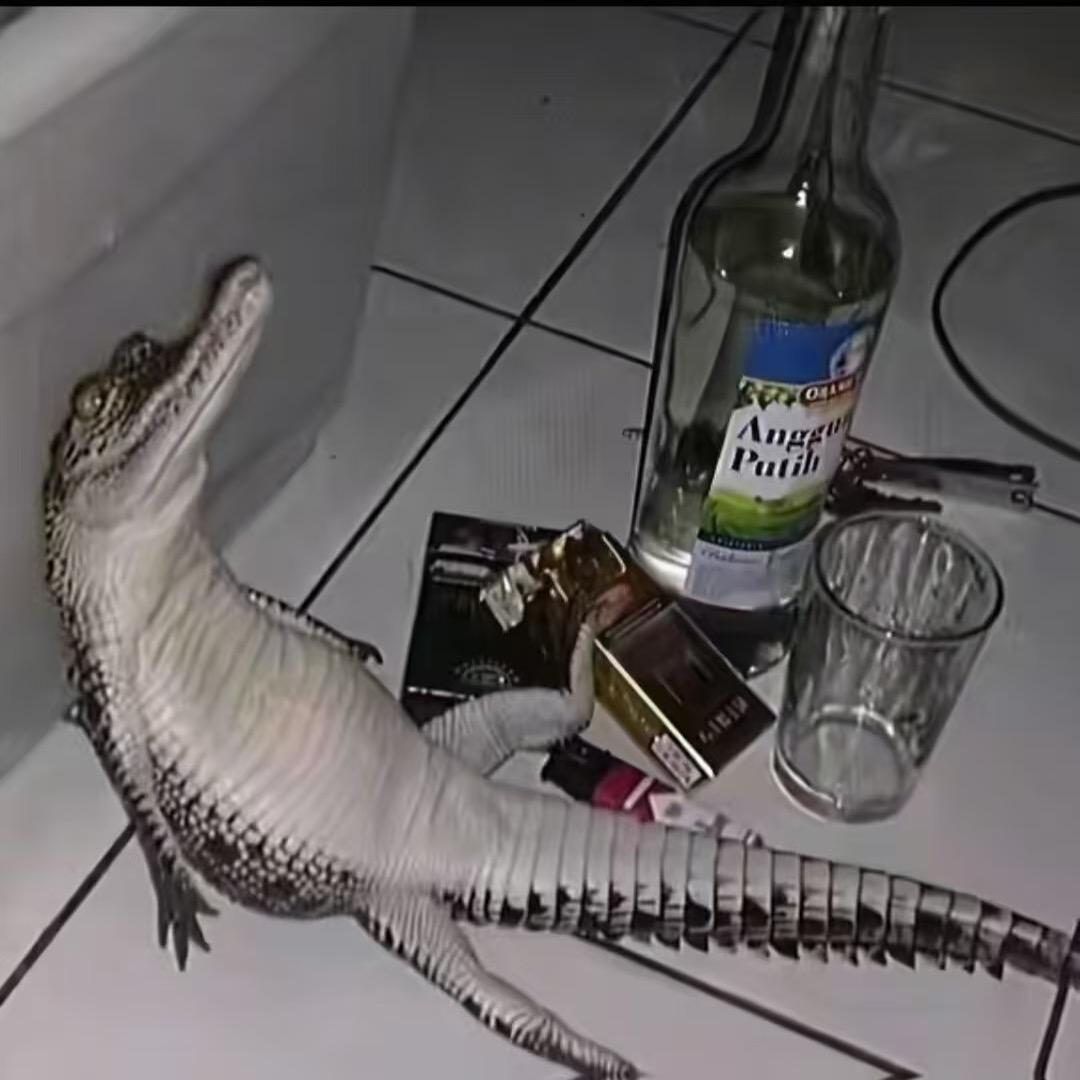 没有明天