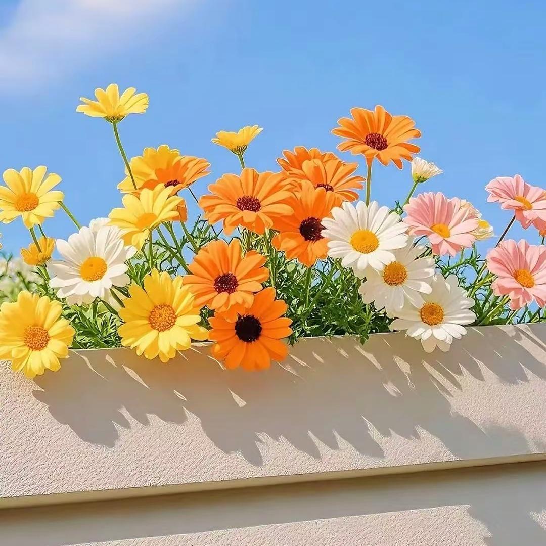 🇨🇳爱我中华