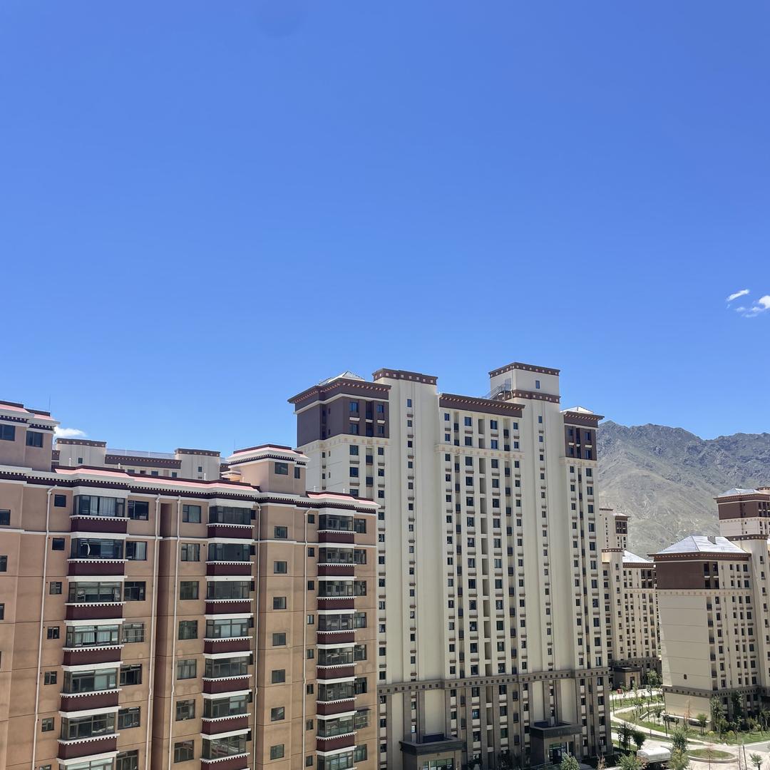 乃东区优信居家（中介）