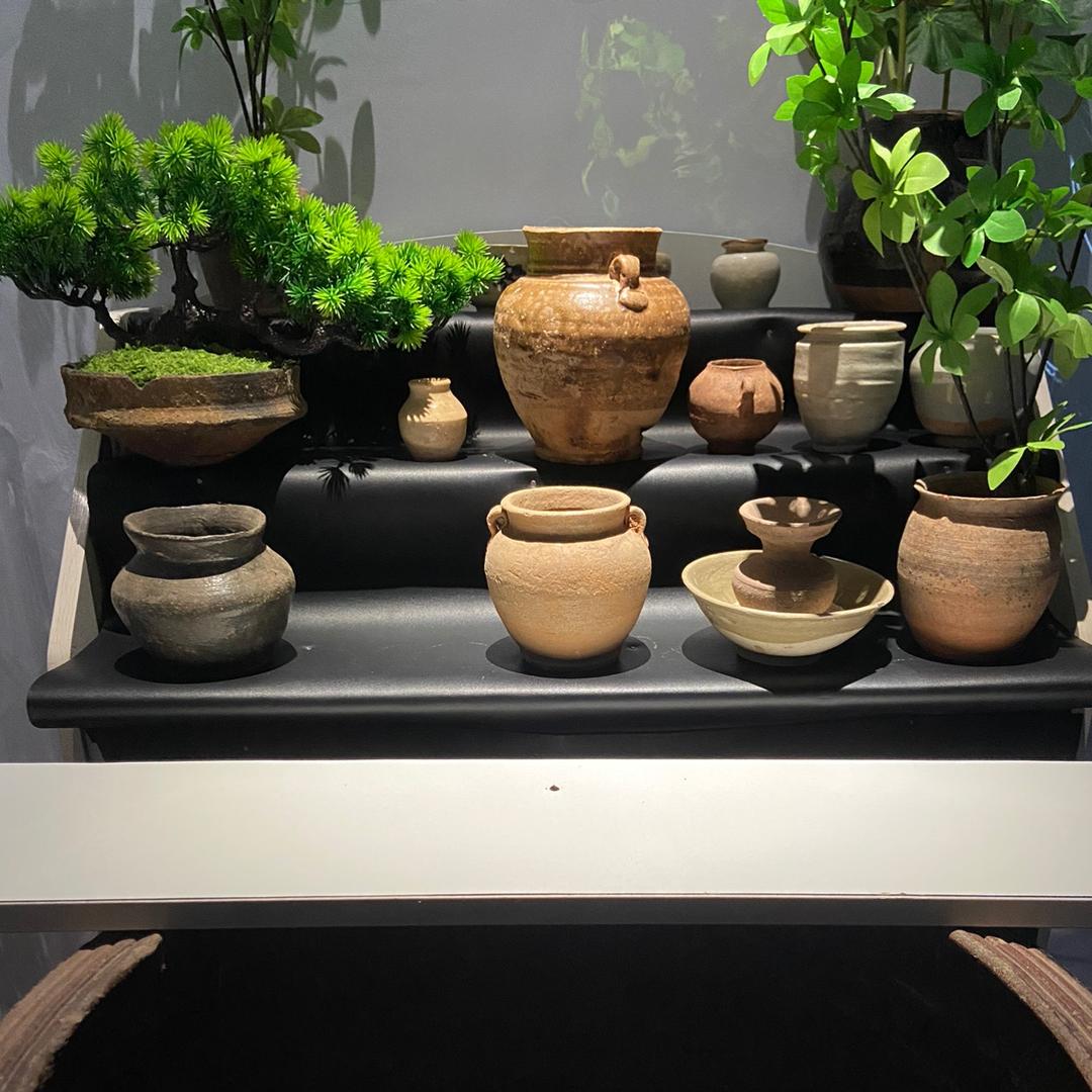 大胡子宝瓷