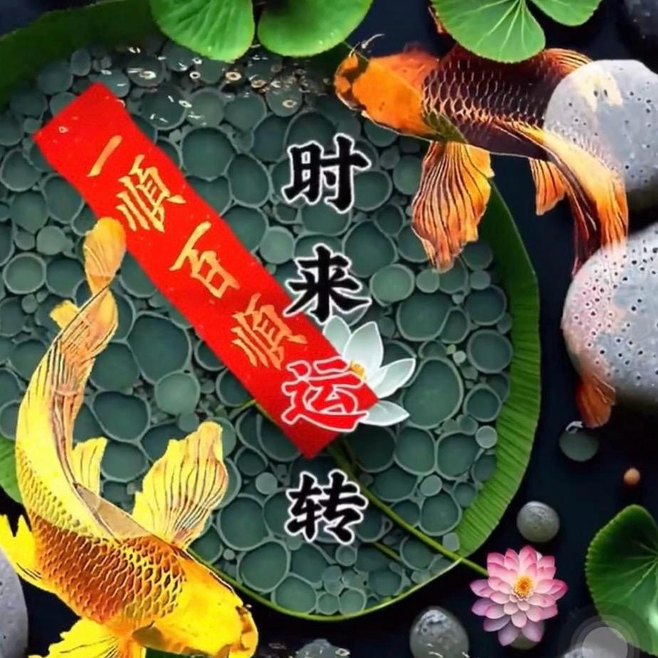 元素🌸