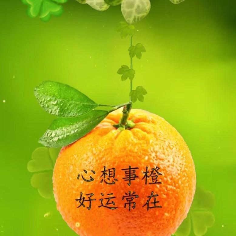 幸运的夜🕊️²⁴⁹【9928】