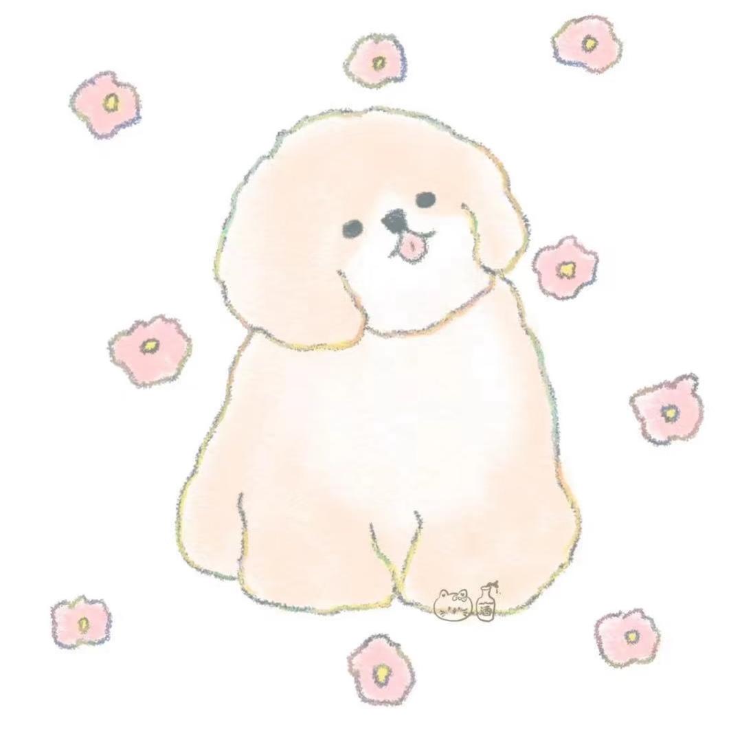 小蛋黄🐣