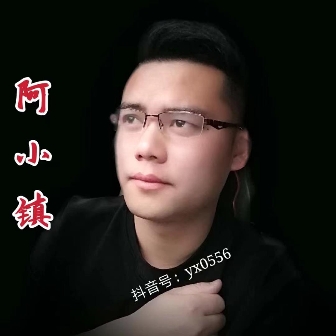 阿镇小哥（村里那点儿事）