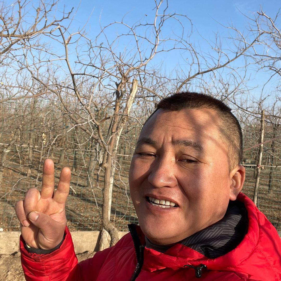 啊嘻嘻杂货铺