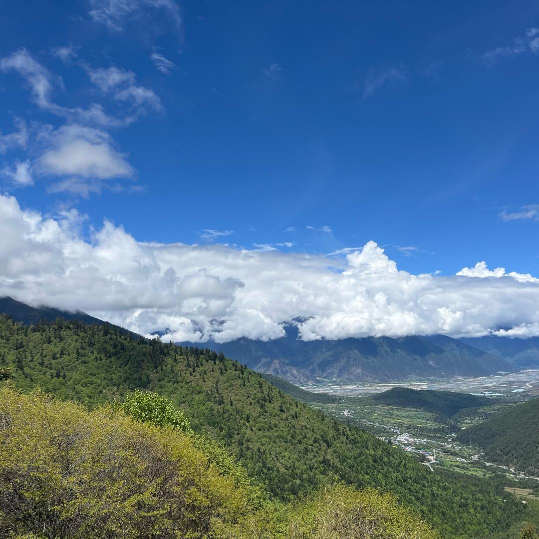 ✨✨让阳光拐个弯✨