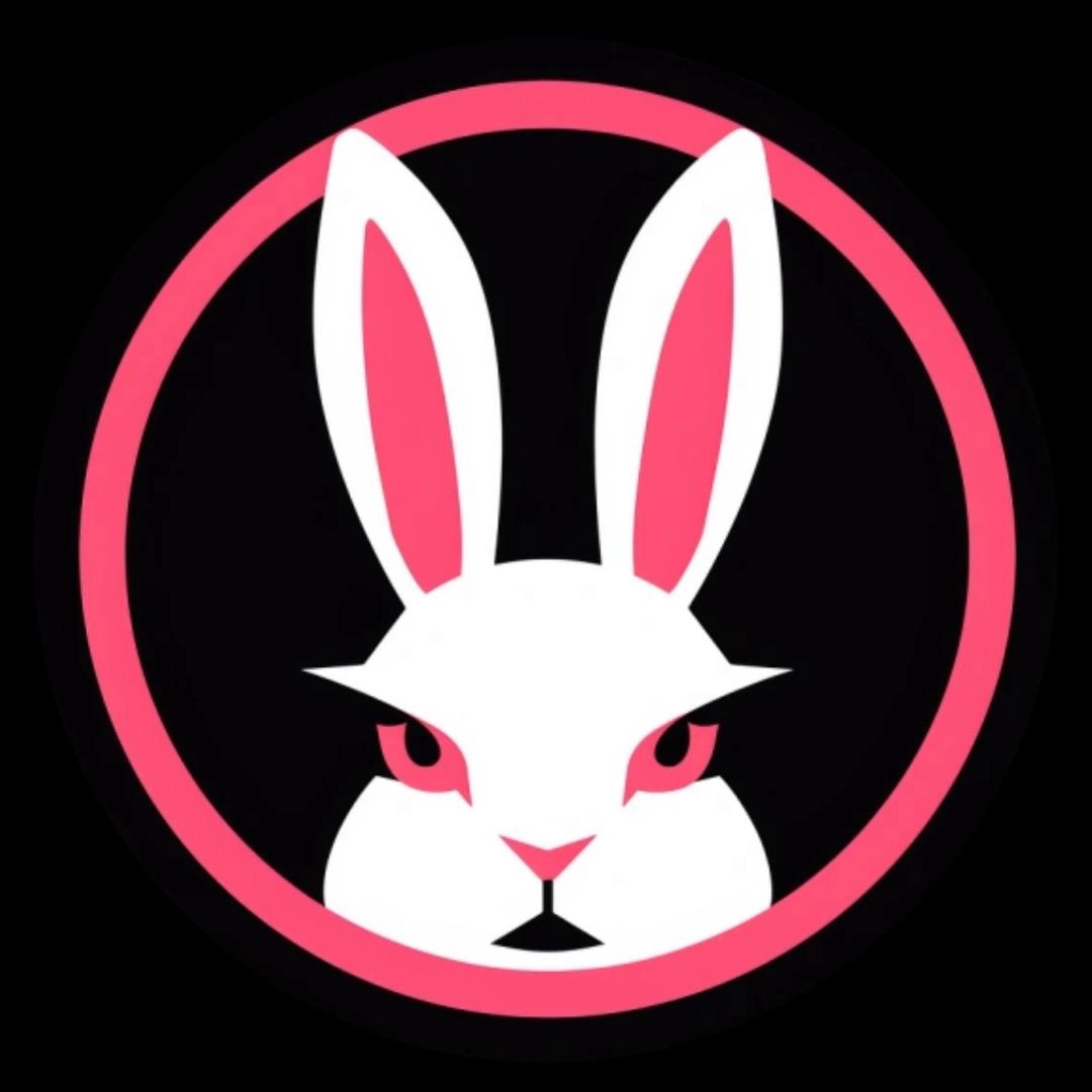 胡兔兔🐰