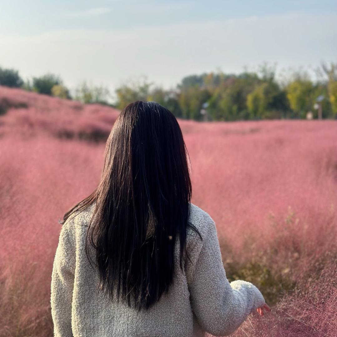 红牛酥肉店 闪闪