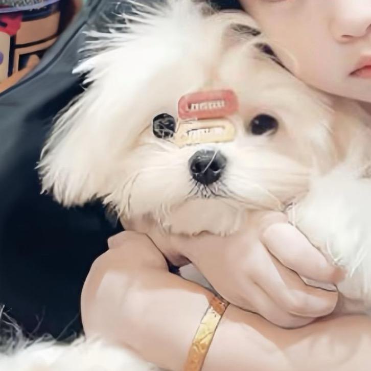 ￴￴ ￴￴ ￴ ￴￴