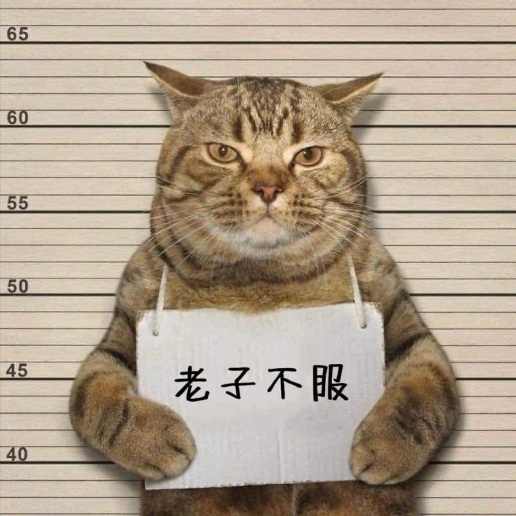 重炮机手
