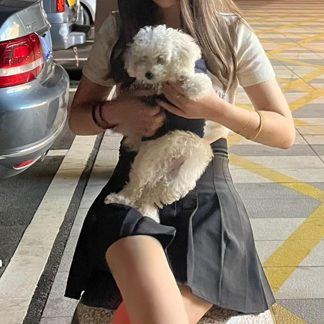 比熊图图不糊涂