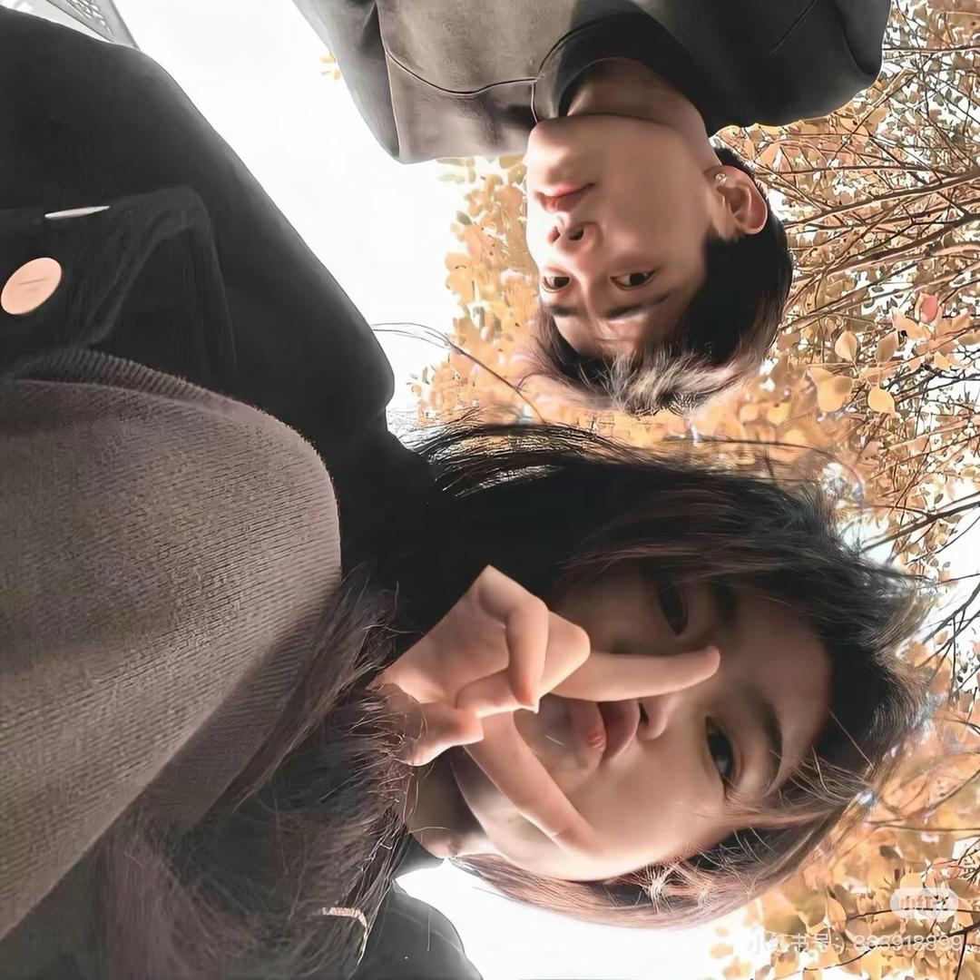 茶杯猫cOvOat