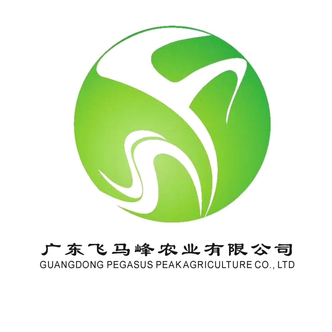 印象尖山