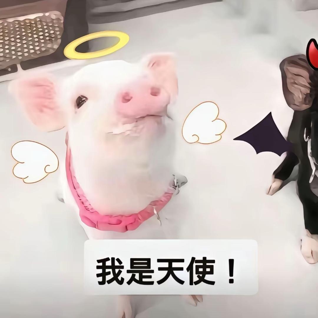 叁伶