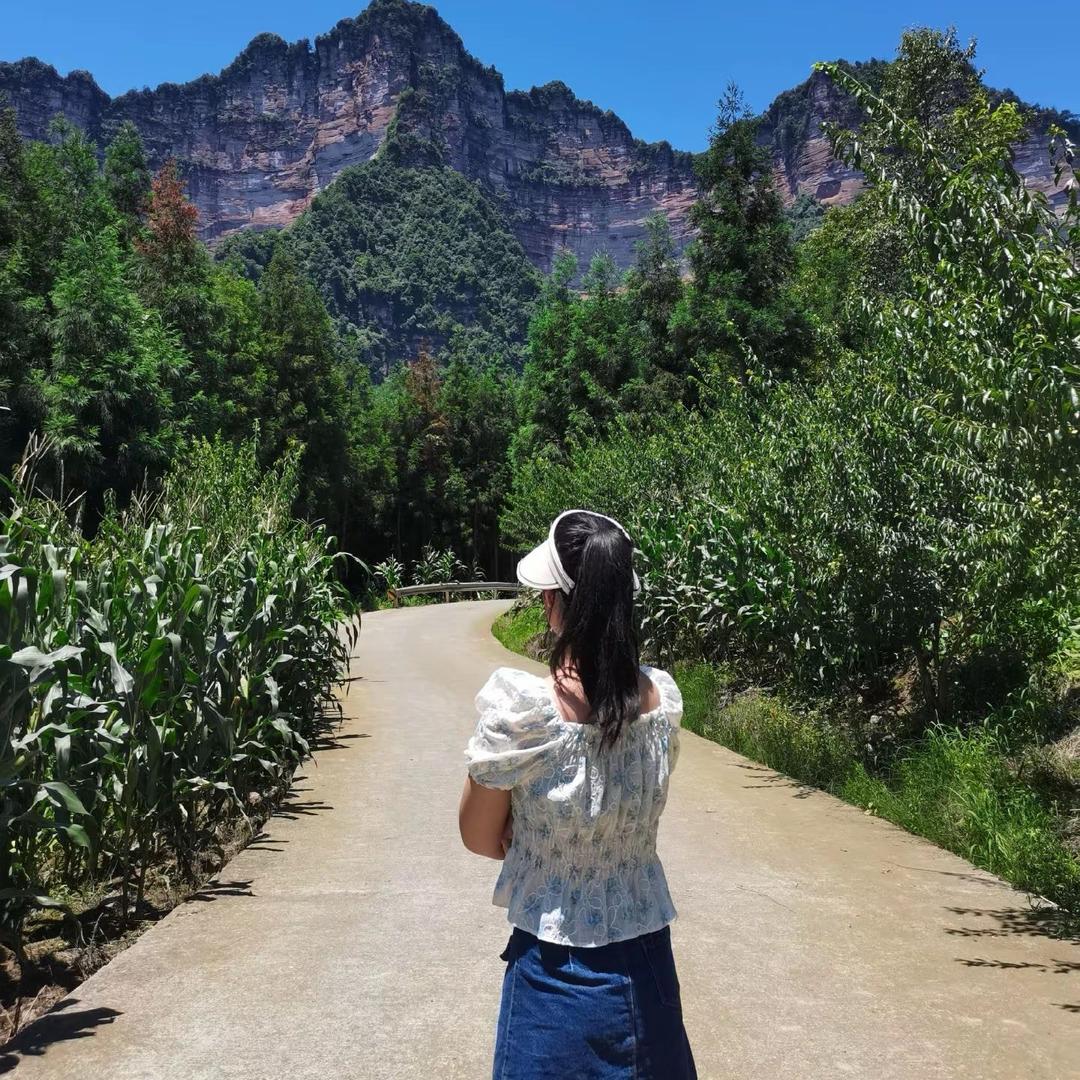 子落🌷