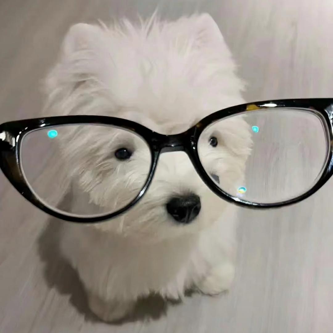 一只懒羊（昭培）