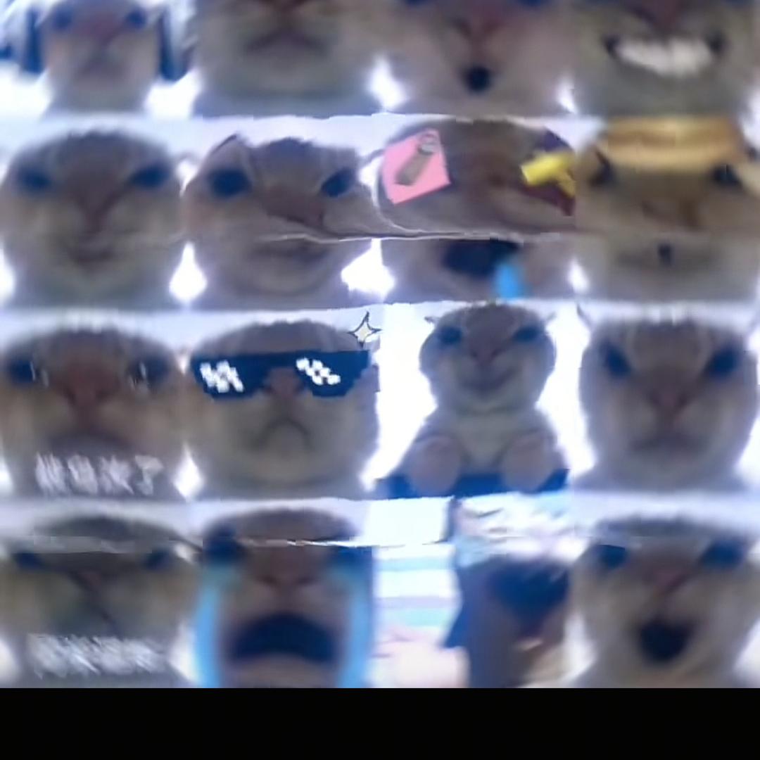 俊豪