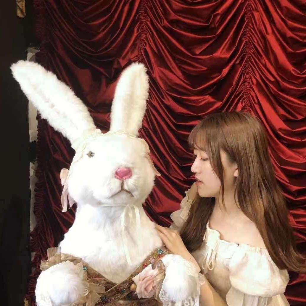 你的安妮