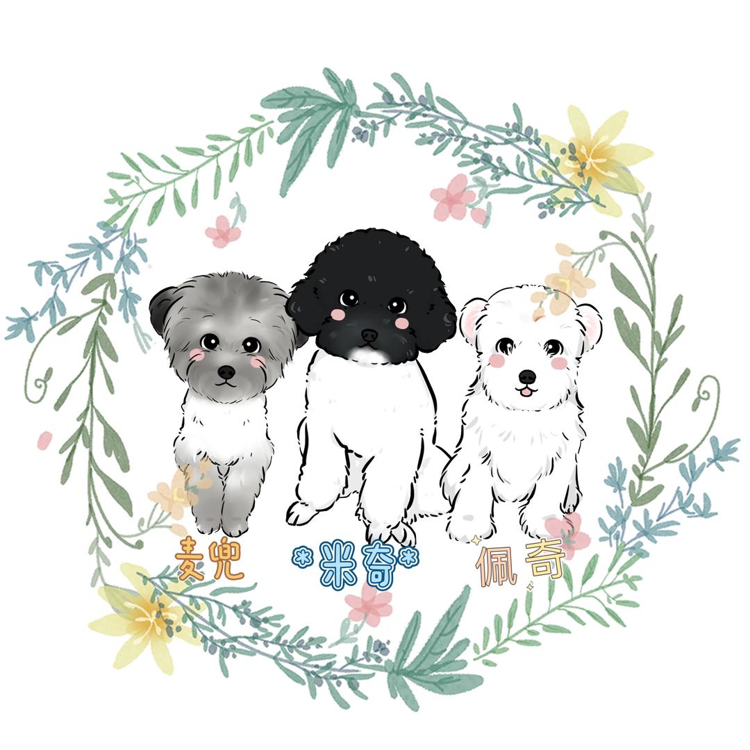 米奇麦兜呀（出花枝鼠）