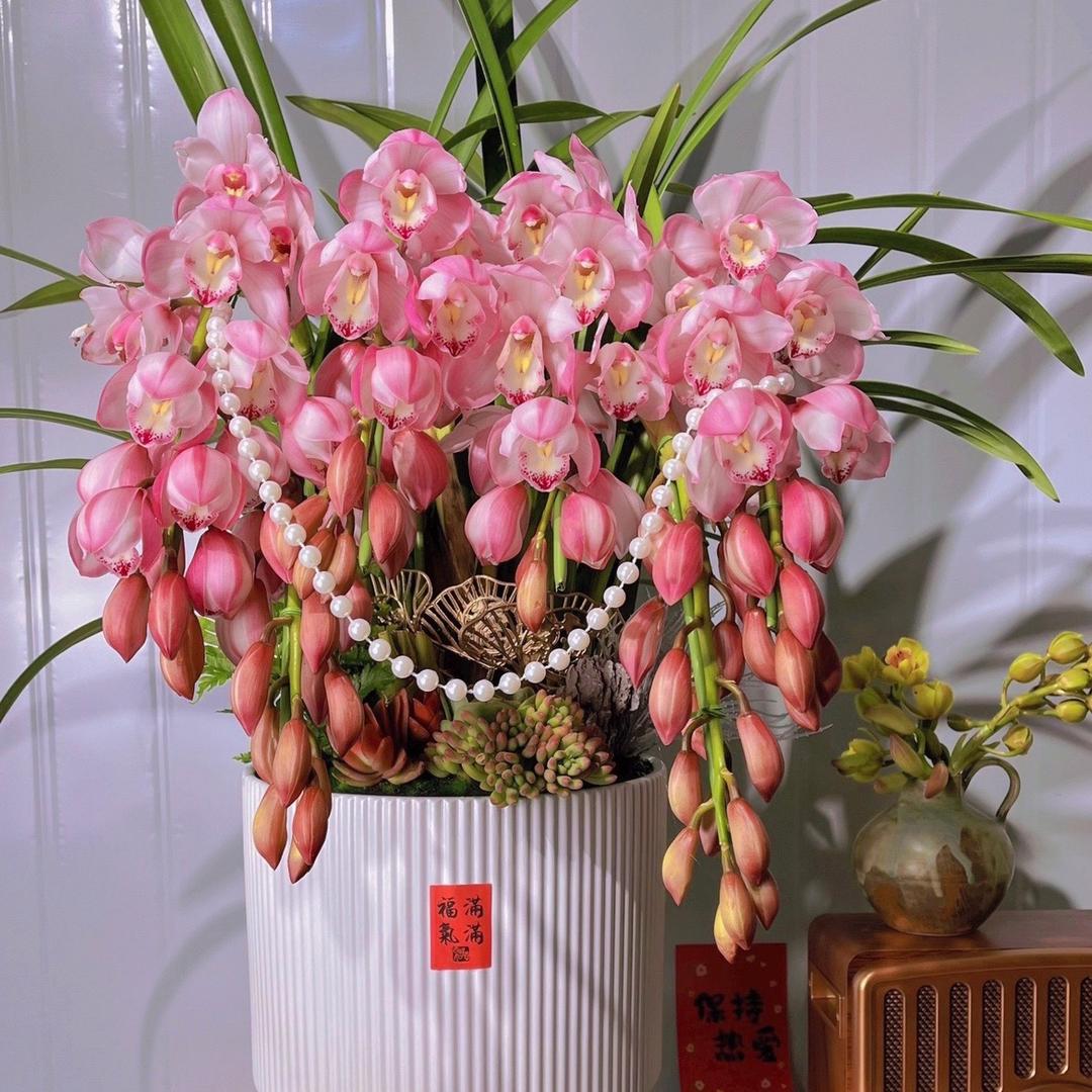 🌱琳.♡͚ .☼🕊༣ྀ