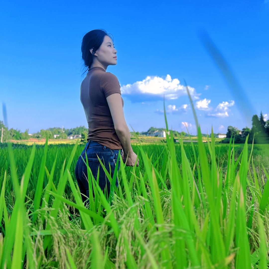 慕容秋荻（乡村农田）
