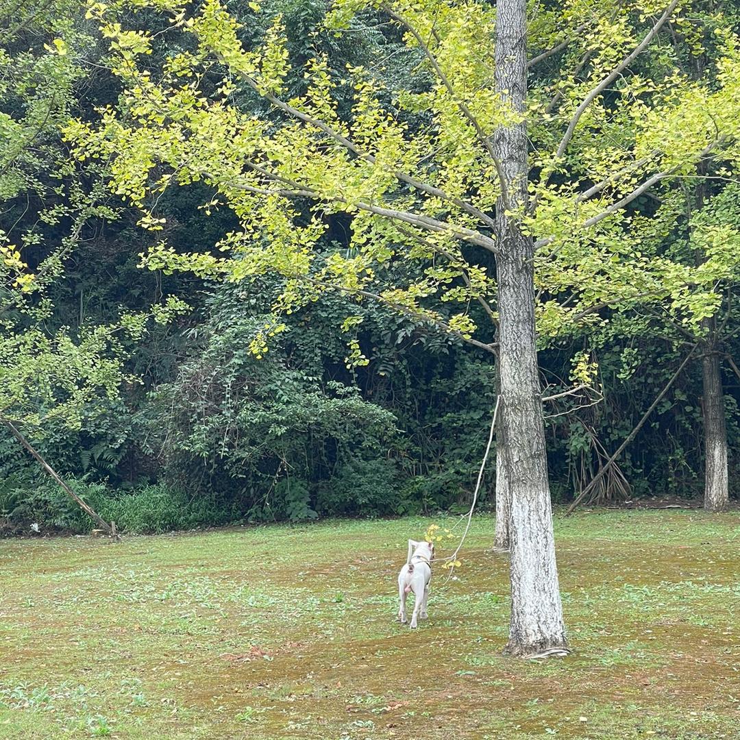 赵小雷和巴小豆