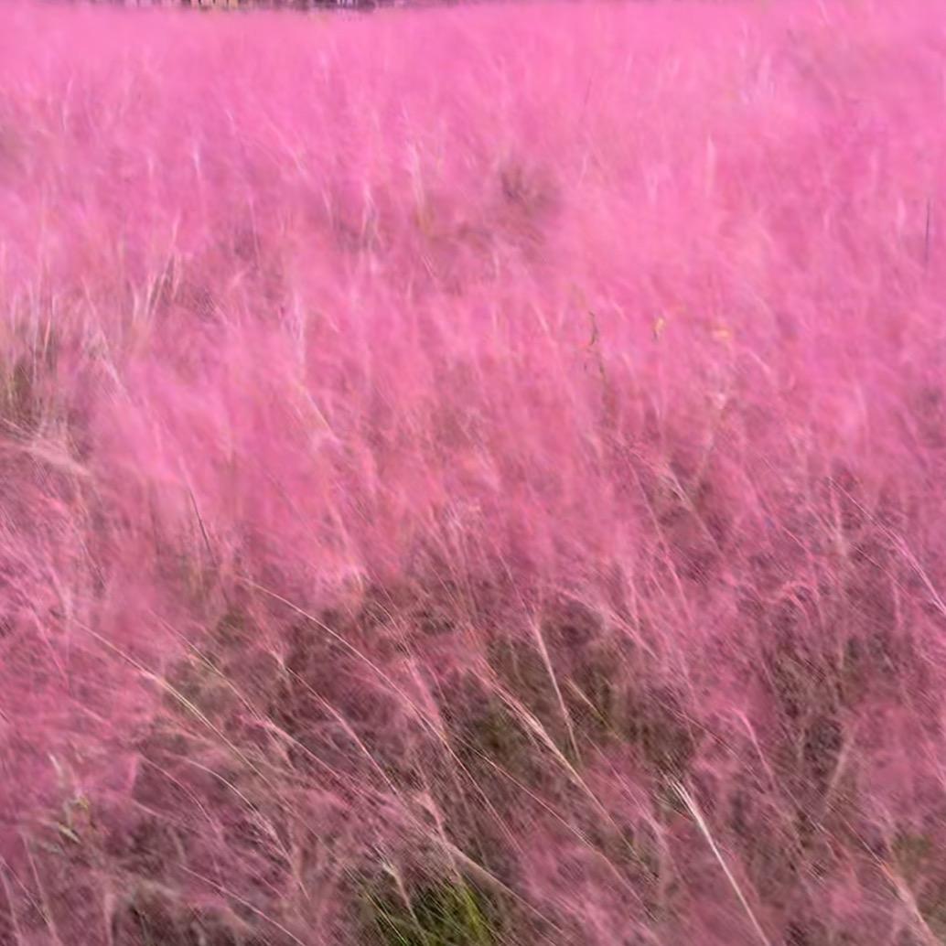 এۣۖ 归零꧔ꦿ ᭄