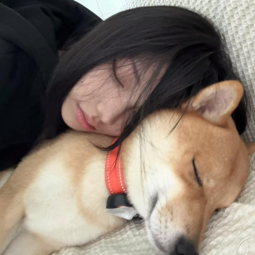 >  <