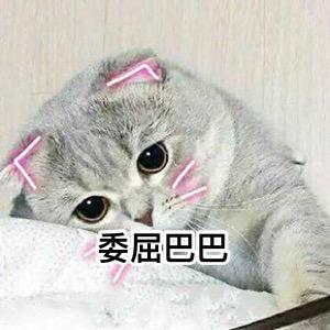🈶️影🌟