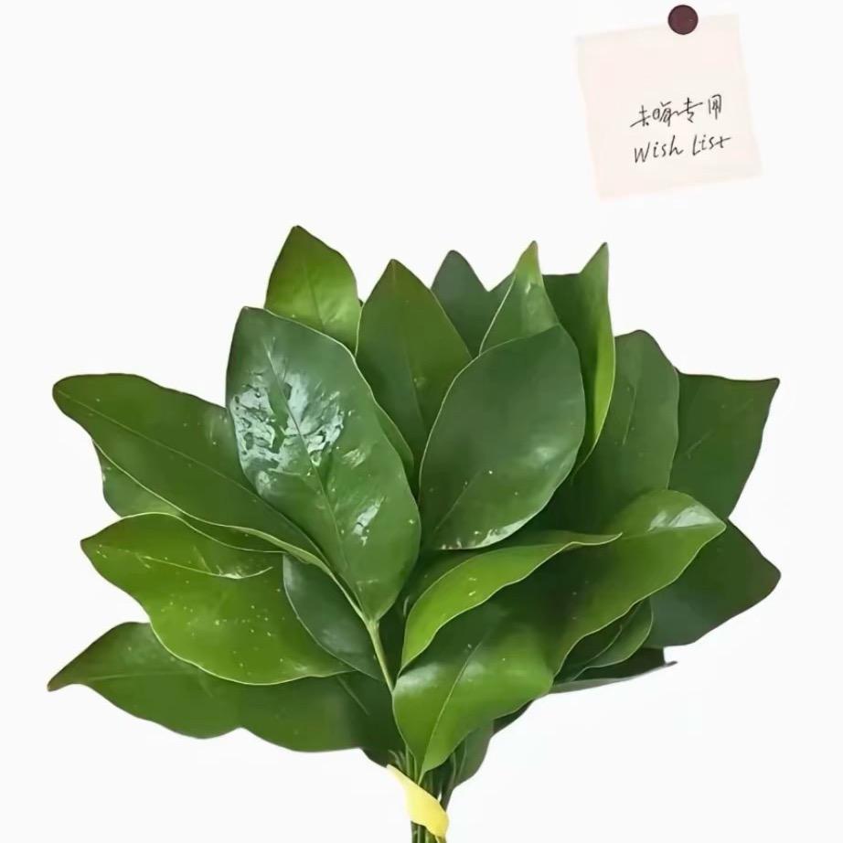 今天没胖🥦