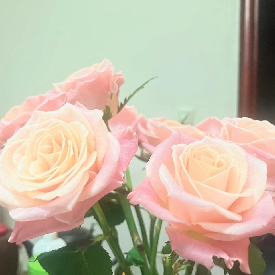 小伍头像