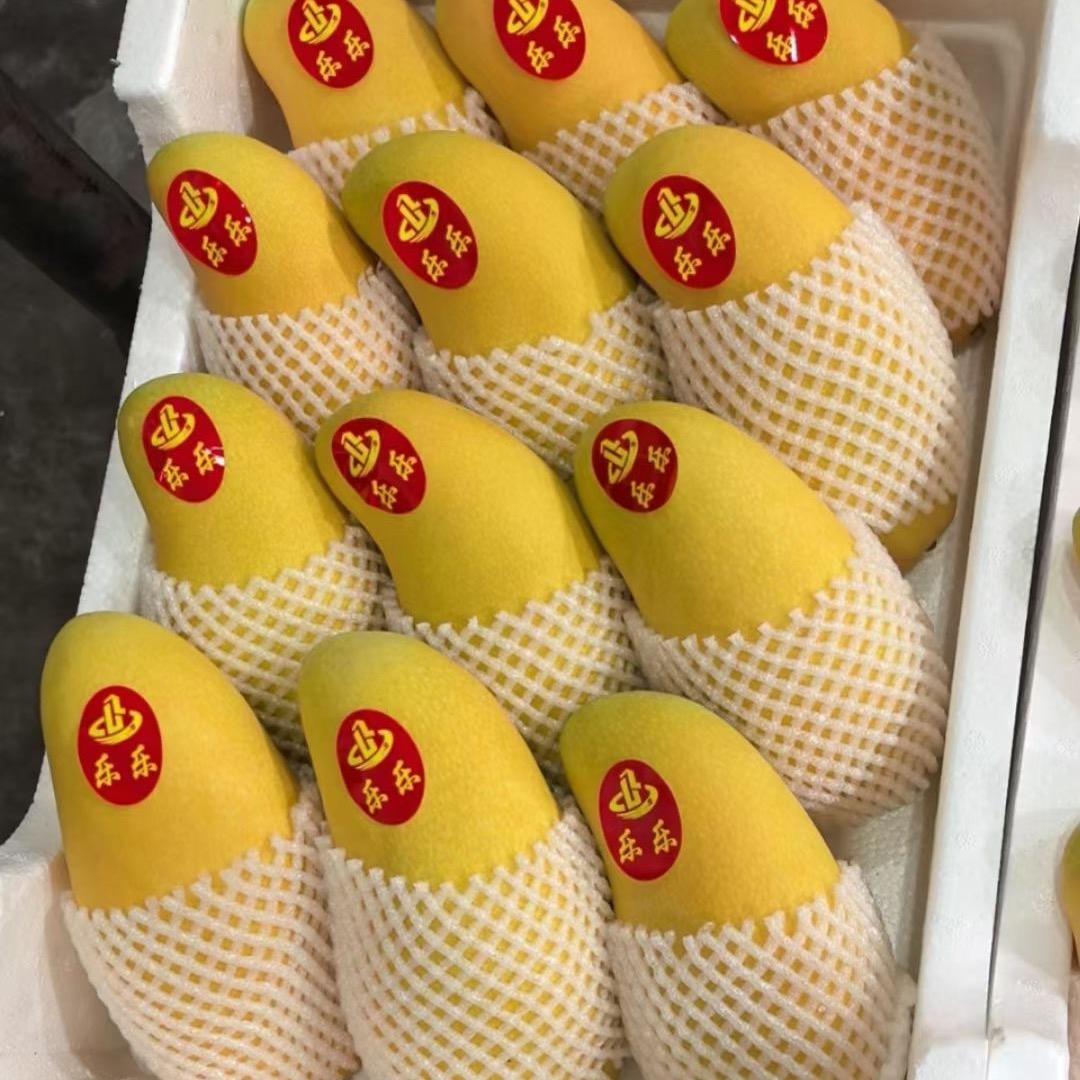 乐乐果业🧒