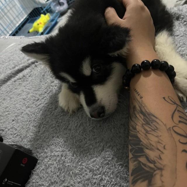 源心本善
