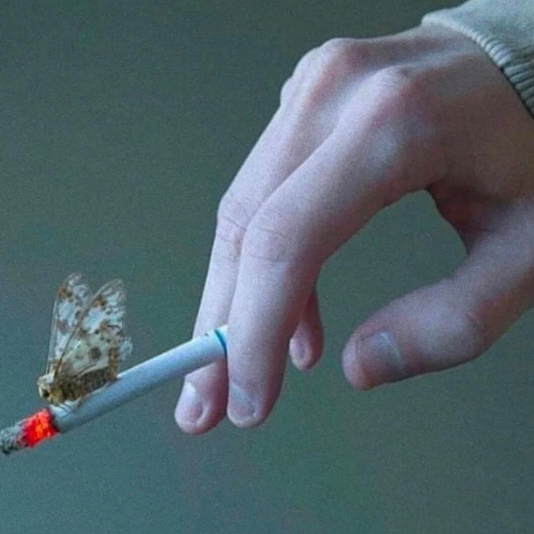 中森冒菜0.5