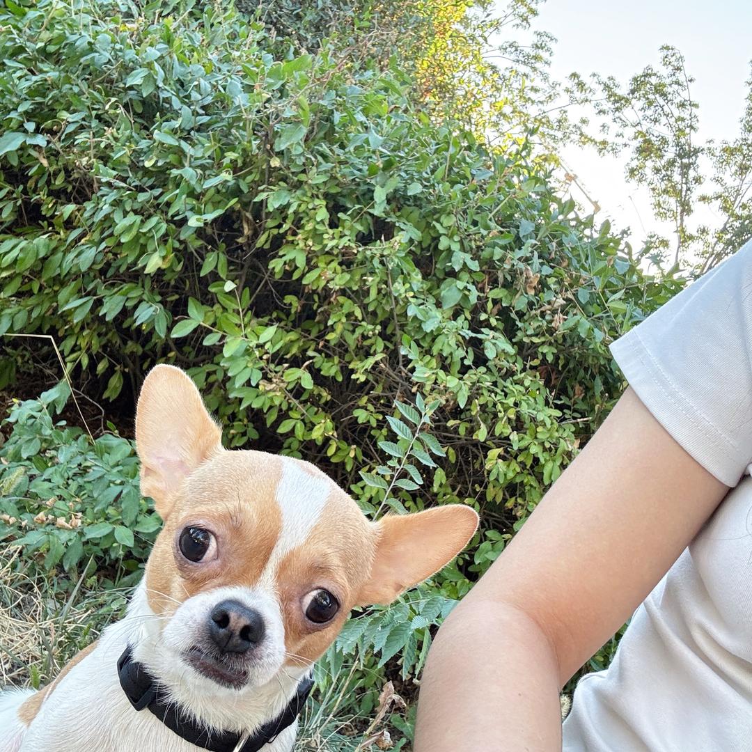 皮总幸福的一家