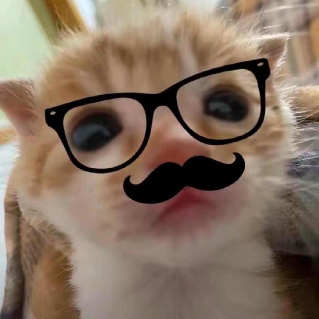 TvT