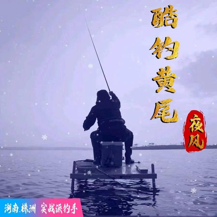 爱钓黄尾的夜风
