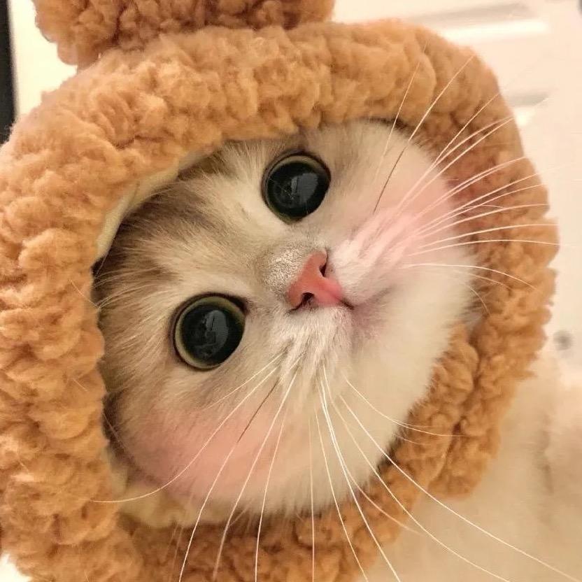 实用精品好货分享